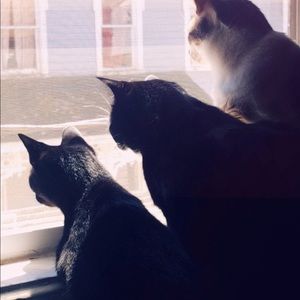 Meet your Posher, Natalie